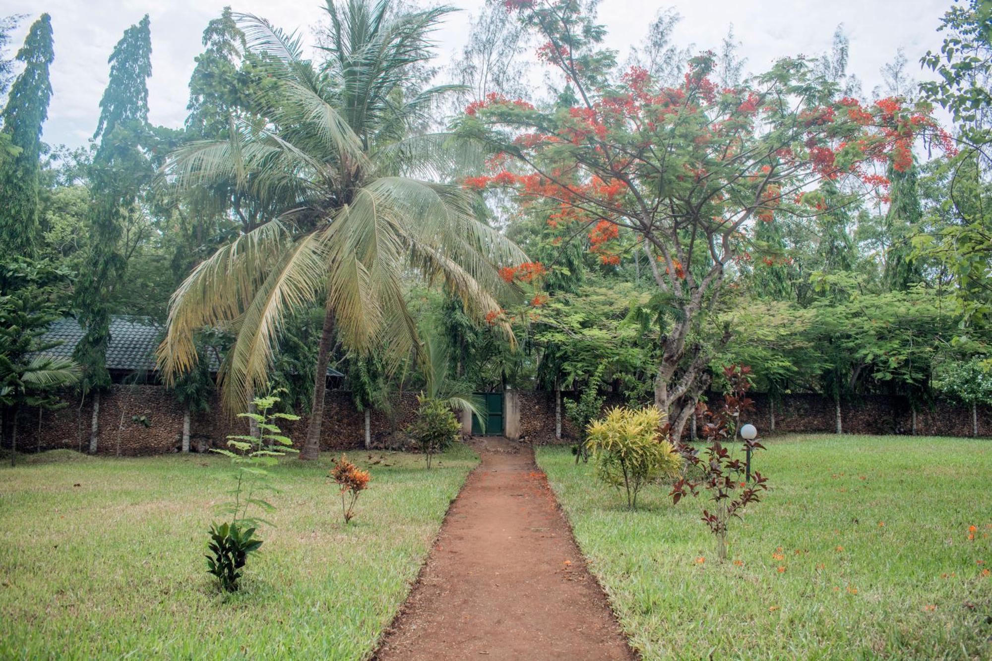 Kijani Cottages In Diani Diani Beach Exteriér fotografie