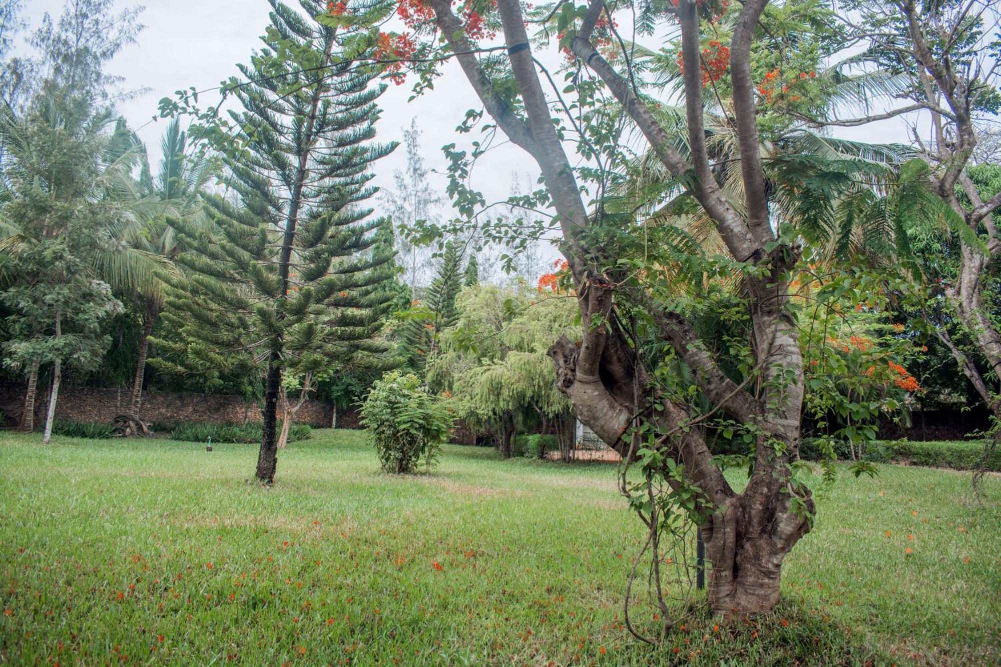 Kijani Cottages In Diani Diani Beach Exteriér fotografie