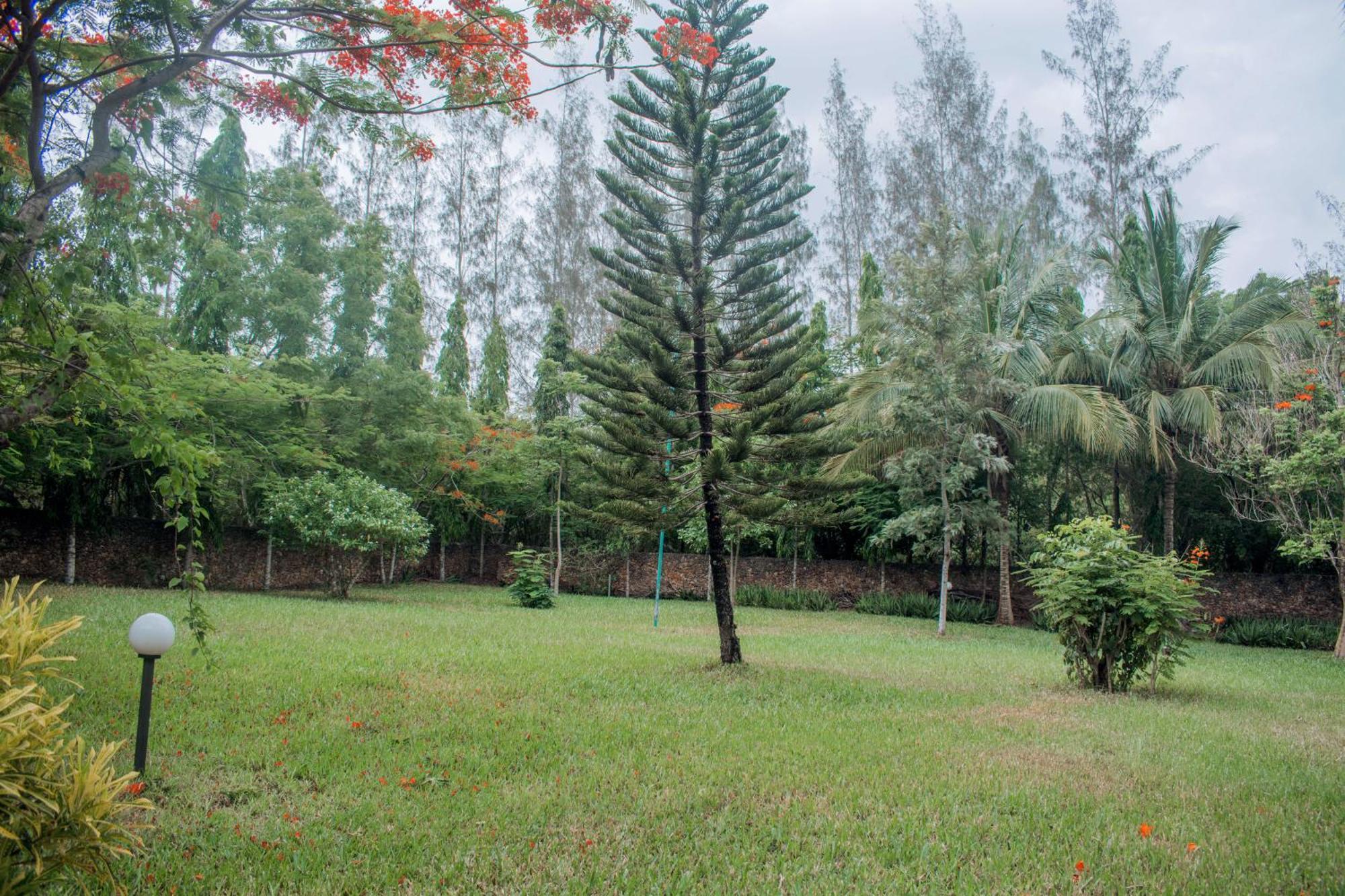 Kijani Cottages In Diani Diani Beach Exteriér fotografie