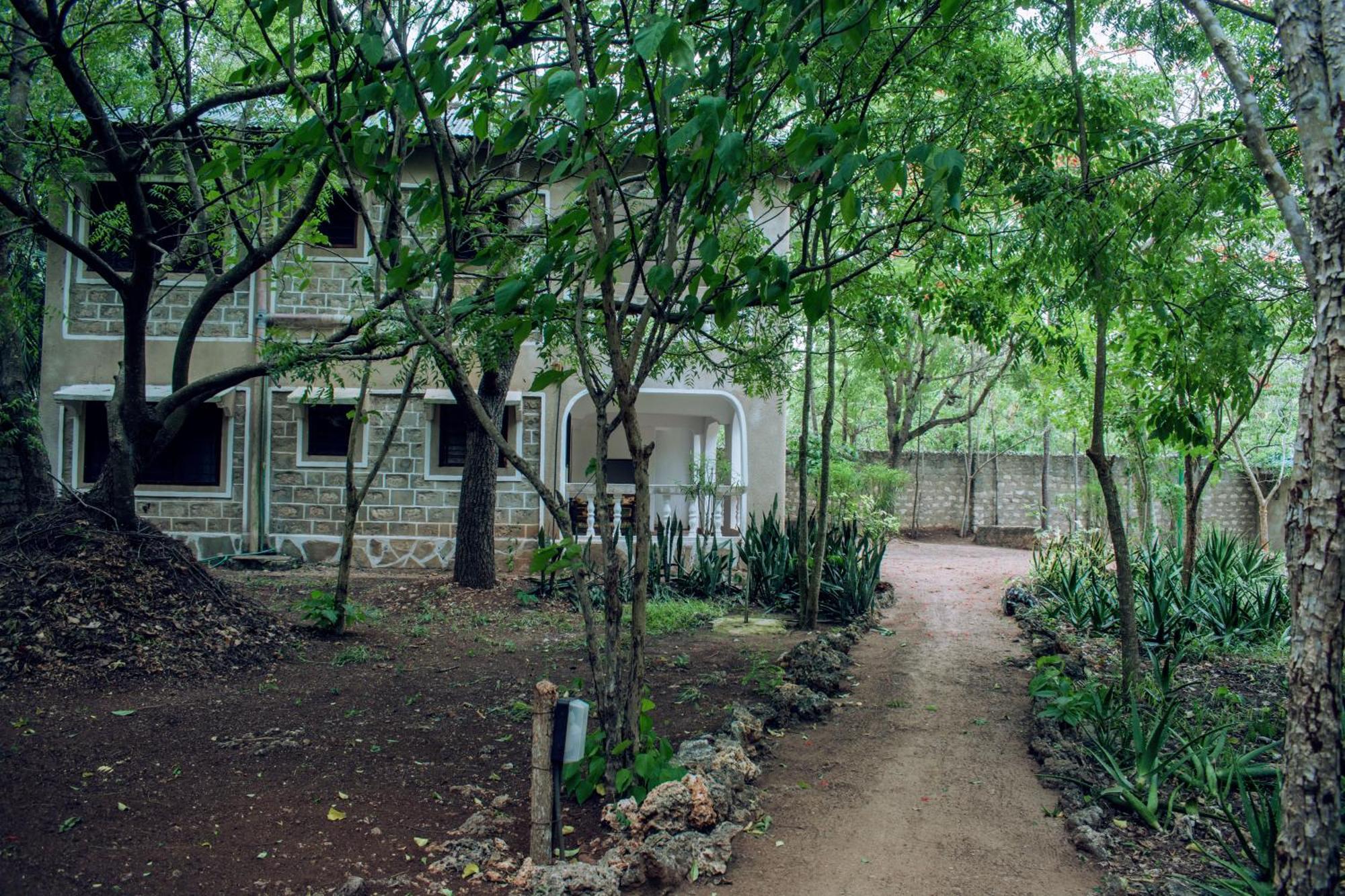 Kijani Cottages In Diani Diani Beach Exteriér fotografie