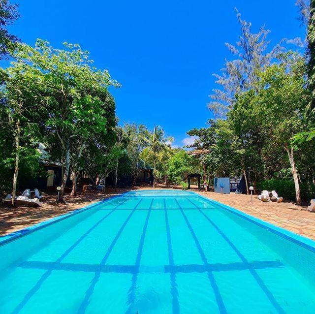 Kijani Cottages In Diani Diani Beach Exteriér fotografie
